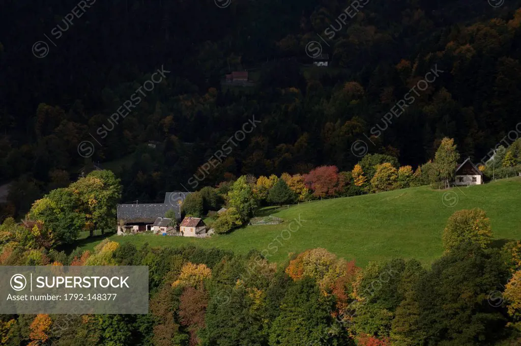 France, Haut Rhin, Vallee de Munster, landscape from Vosges