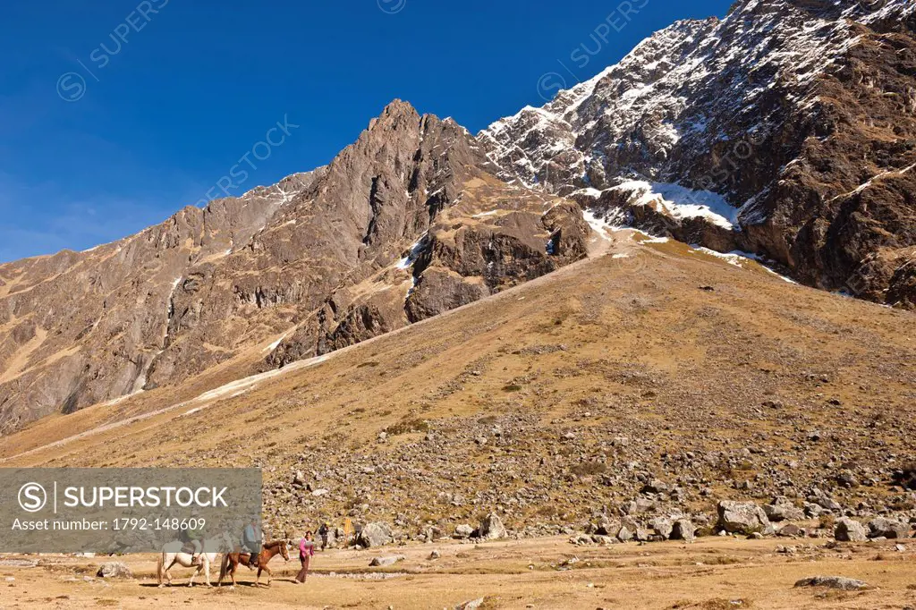 Peru, Cuzco province, Cordillera Vilcanota, trek by mule at the foot of Salkantay 6371m