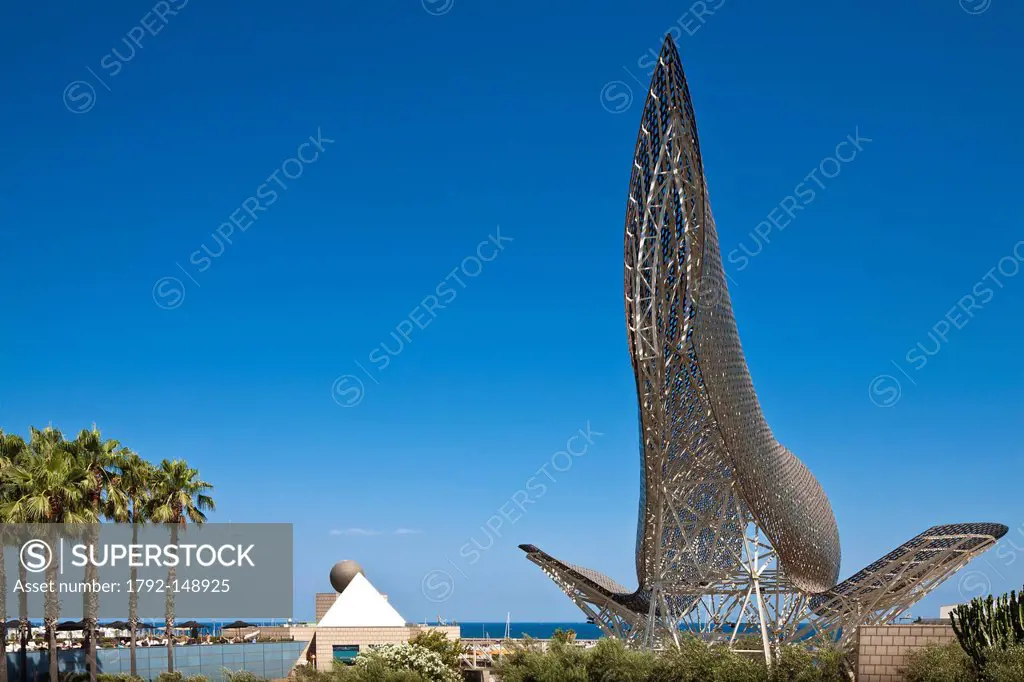 Spain, Cataluna, Barcelona, Peix or Balena whale sculpture by the Canadian American architect Frank Owen Gehry, view from the Arts Hotel