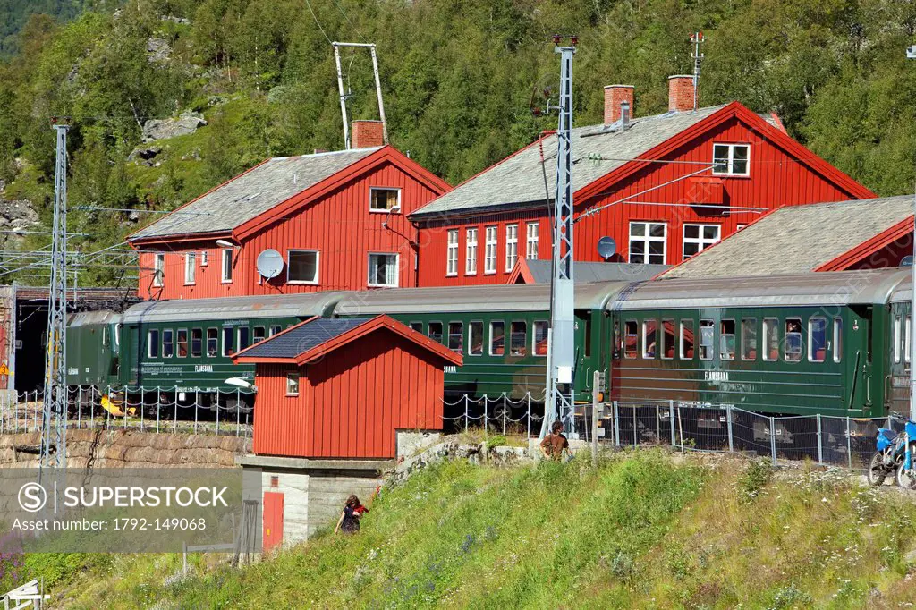 Norway, Sogn og Fjordane County, Myrdal, the train between Flam and Myrdal Station
