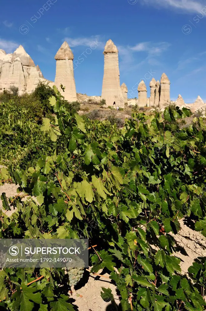 Turkey, Central Anatolia, Cappadocia listed as World Heritage by UNESCO, near Uchisar, Love Valley, wineyard