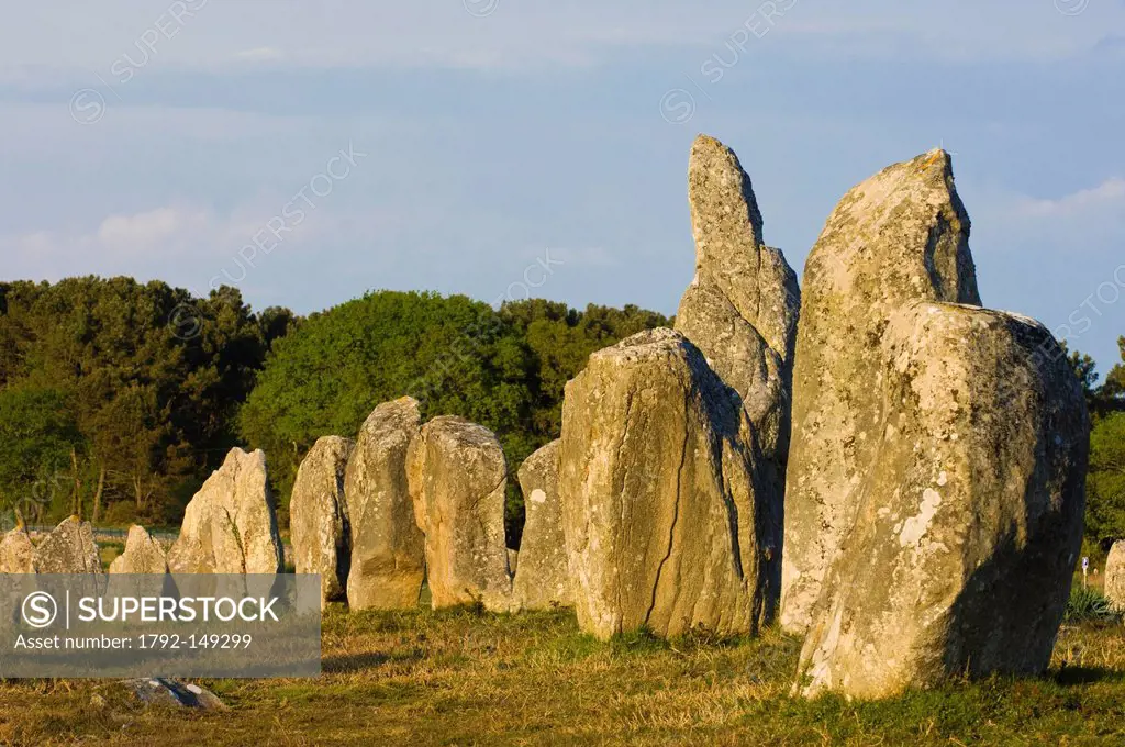 France, Morbihan, Carnac, rows of menhirs and a few dolmen, aligned according to a probably astronomic configuration