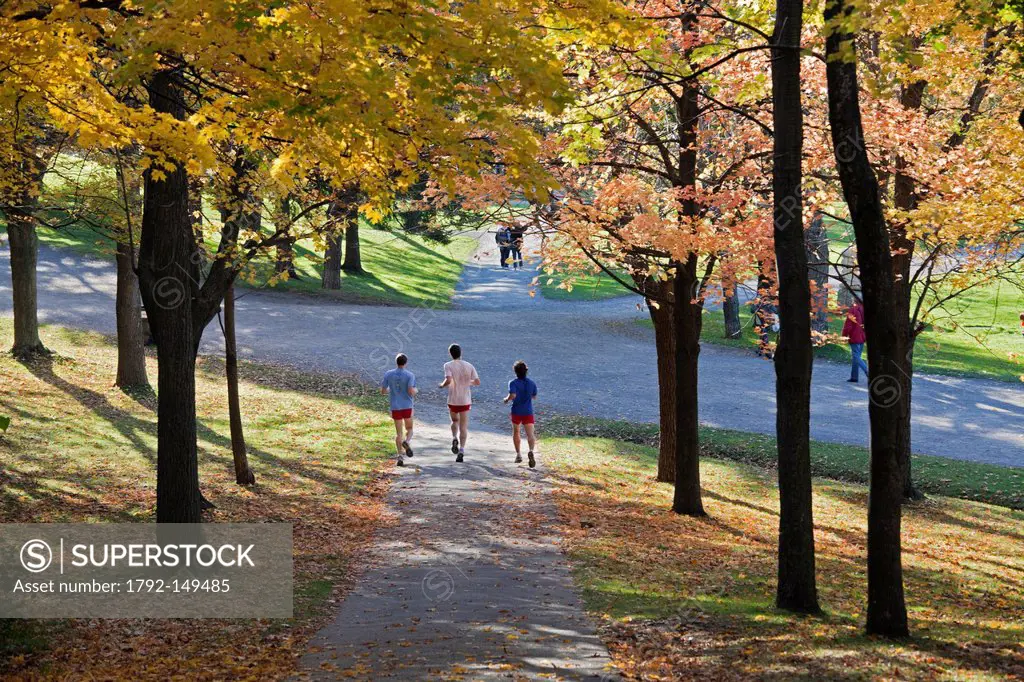 Canada, Quebec Province, Montreal, Mount Royal Park, undergrowth in the colors of Autumn, joggers