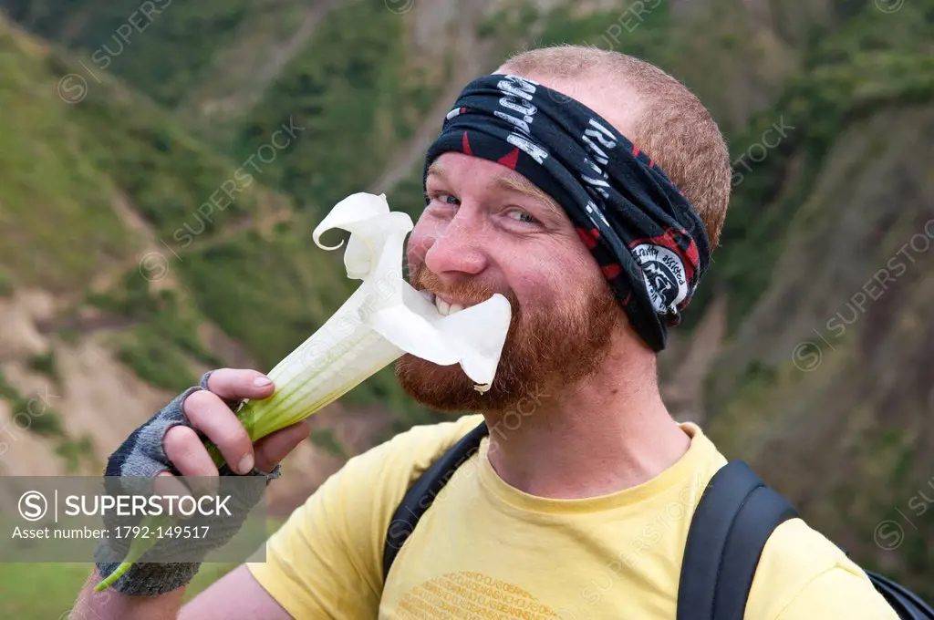 Peru, Cuzco Province, Cordillera Vilcabamba, the Salkantay trek, hikers with an Angels´ trumpet Brugmansia flower with hallucinogenic effect