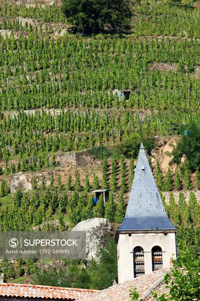 France, Rhone, Verin, church and Condrieu AOC vineyards