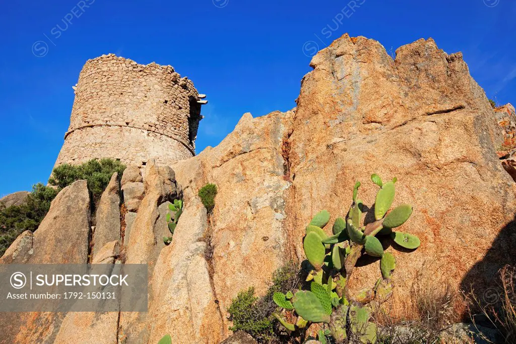 France, Corse du Sud, Cape Roccapina, Genoese tower