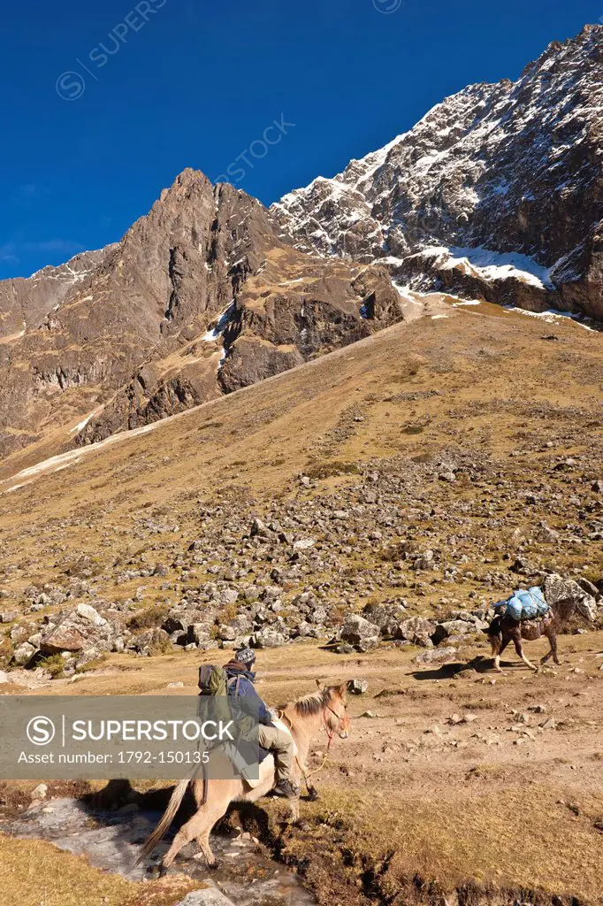 Peru, Cuzco province, Cordillera Vilcanota, trek by mule at the foot of Salkantay 6371m