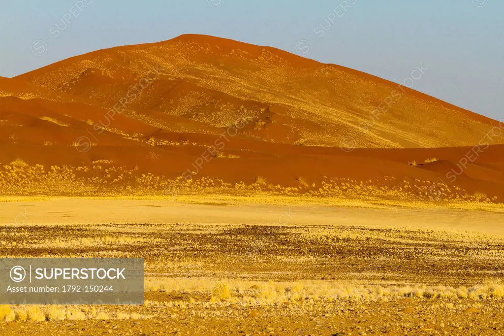 Namibia, Hardap Region, Namib desert, Namib Naukluft National Park, Sossusvlei dunes