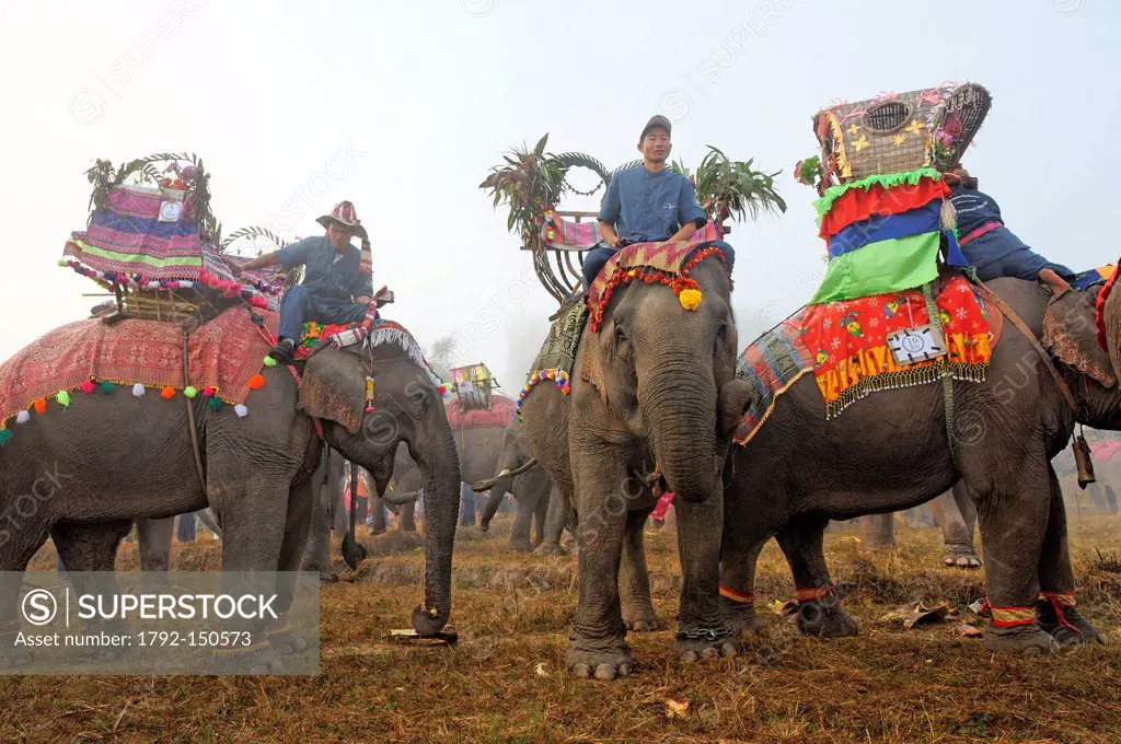 Laos, Sainyabuli Province, Hongsa, Elephant Festival, elephant preparation and mahouts in ceremonial dress for the procession