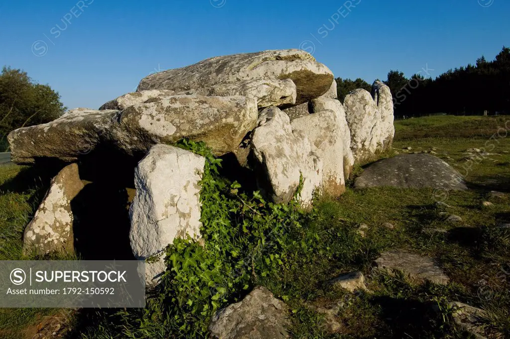 France, Morbihan, Carnac, rows of menhirs and a few dolmen, aligned according to a probably astronomic configuration
