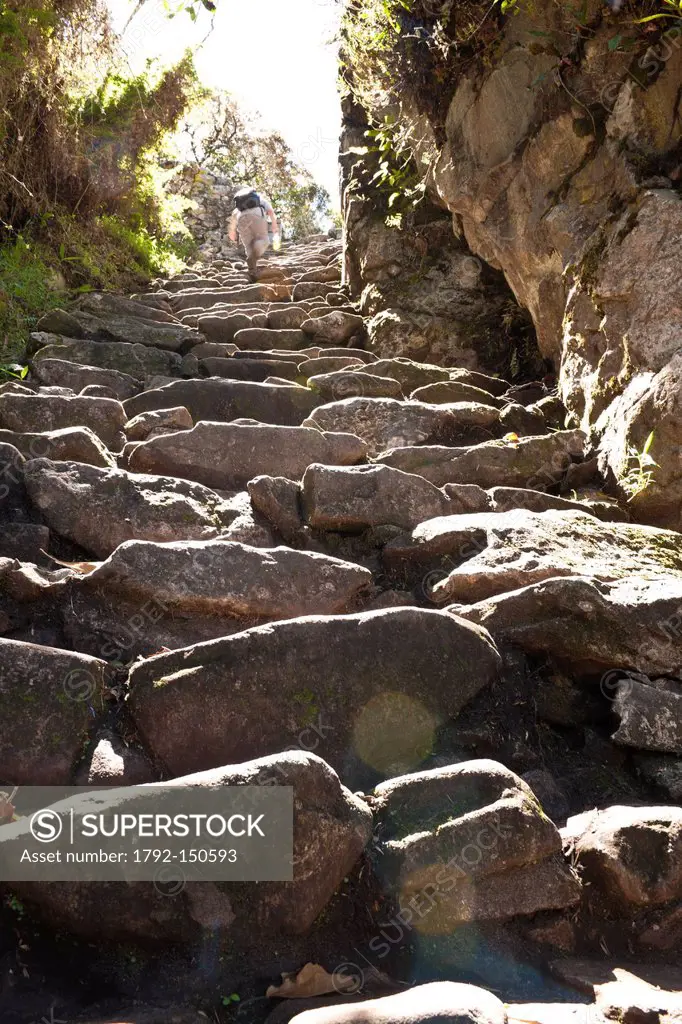Peru, Cuzco Province, Inca Path, trek which leads to the Inca archeological site of Machu Picchu, listed as World Heritage by UNESCO, steep steps lead...