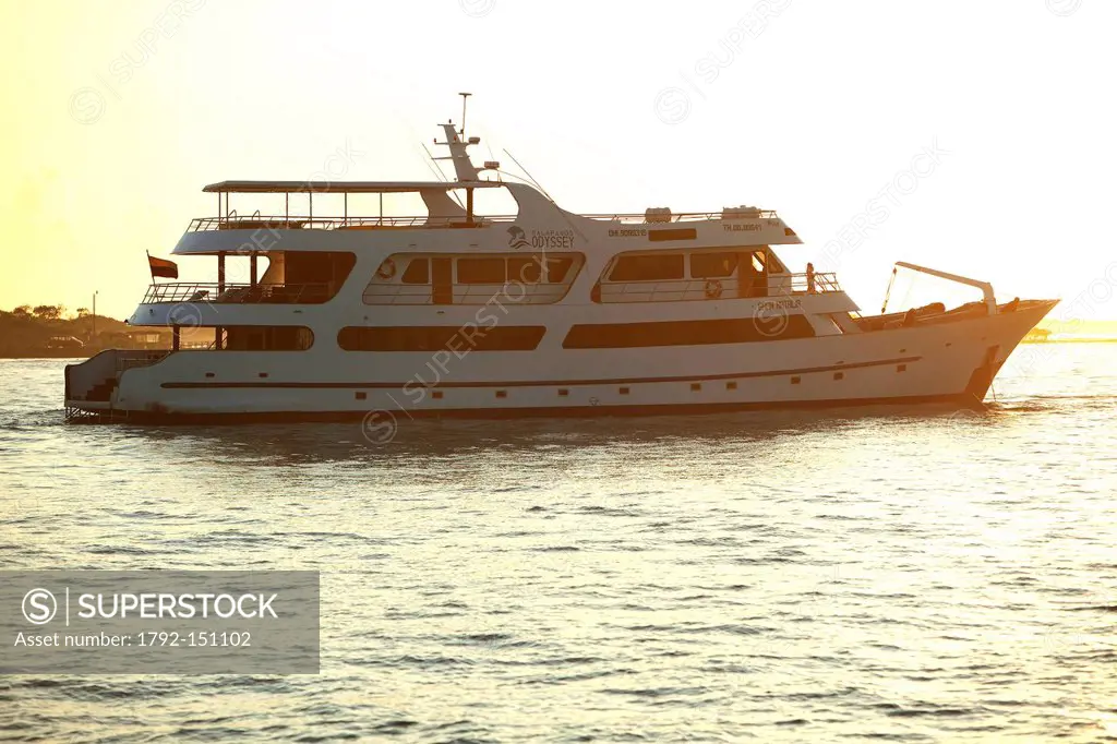 Ecuador, Galapagos Islands, Isabela Island, Puerto Villamil, cruise with the Galapagos Odyssey company
