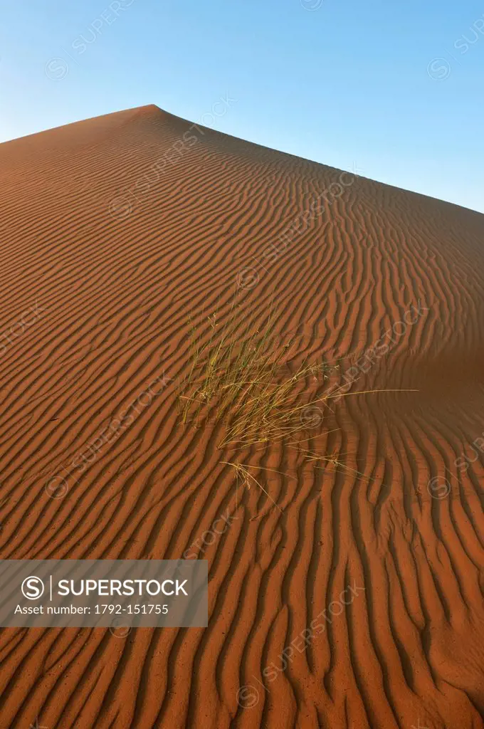 Sultanate of Oman, Ash Sharqiyah Region, desert of Wahiba Sands, sand ripple marks