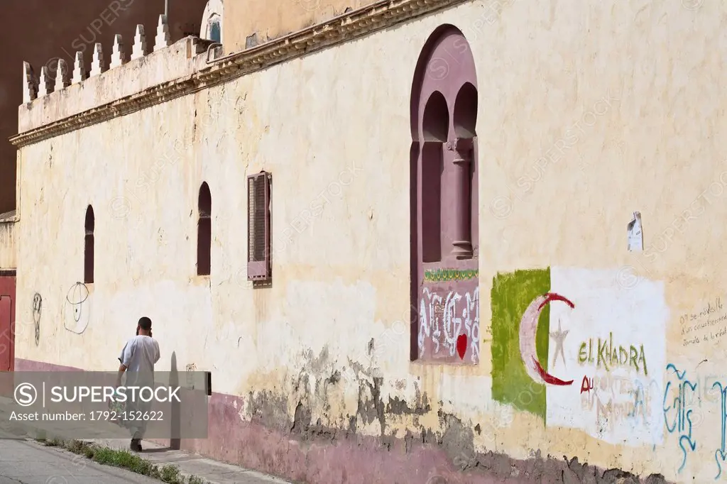 Algeria, Tipaza Wilaya, Cherchell, Algerian flag painted on house wall in the old town