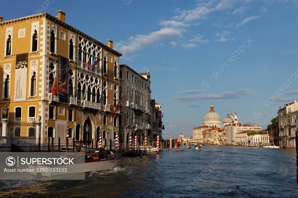 Italy, Venetia, Venice, listed as World Heritage by UNESCO, San Marco district, Grand Canal near Ponte dell´Academia, in the background Santa Maria de...