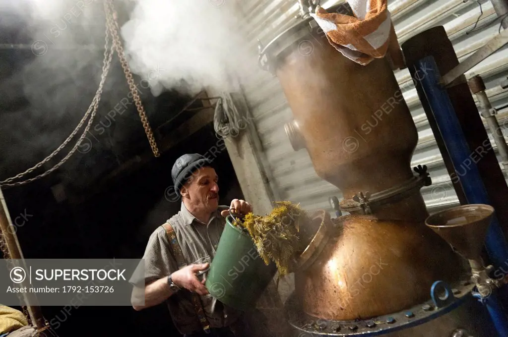 France, Haut Rhin, Vallee de Munster, Farm Inn of Breitzhousen, Manufacturing of brandy by Roger Deybach