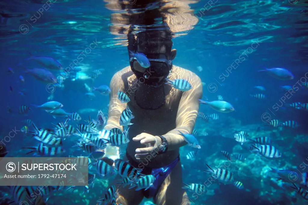 Malaysia, Terengganu State, Perhentian, Kecil island, scuba diving