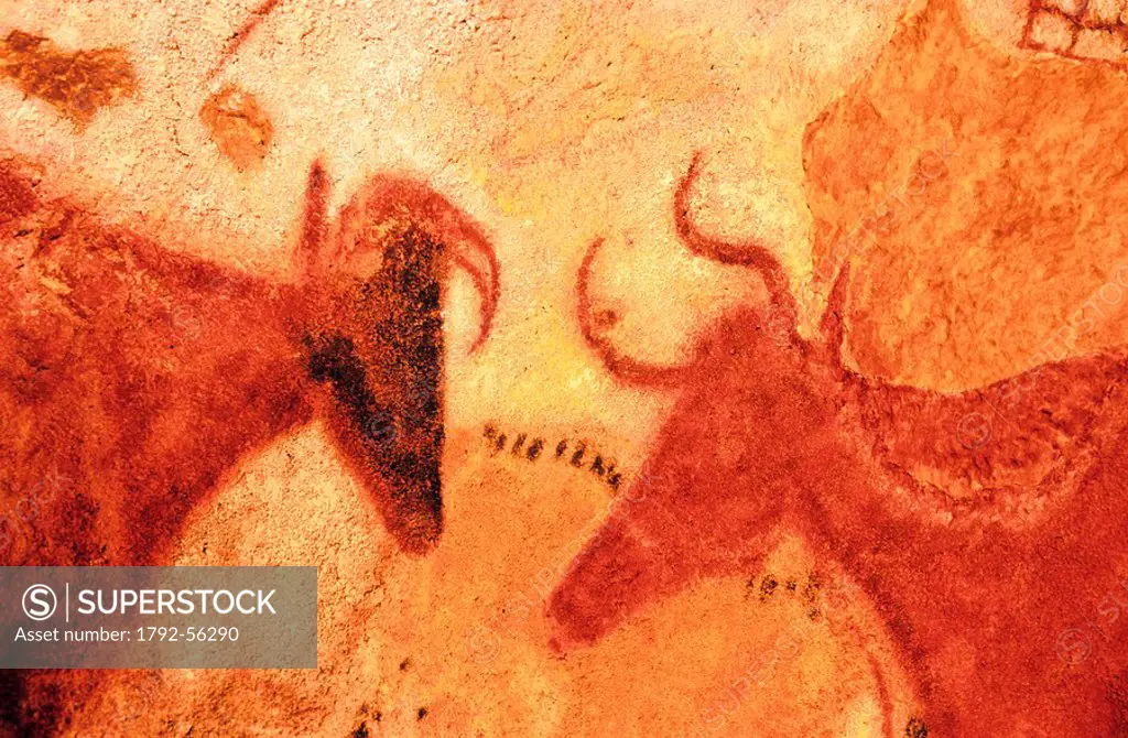 France, Dordogne, Lascaux, cave paintings representing the aurochs