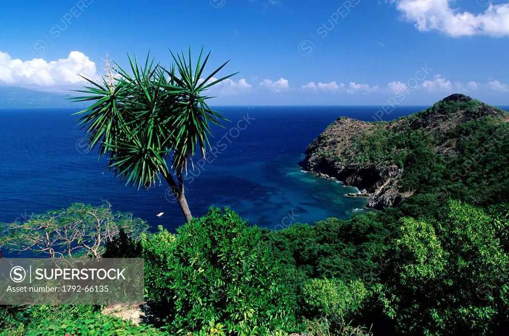 France, Guadeloupe French West Indies, Les Saintes, North coast