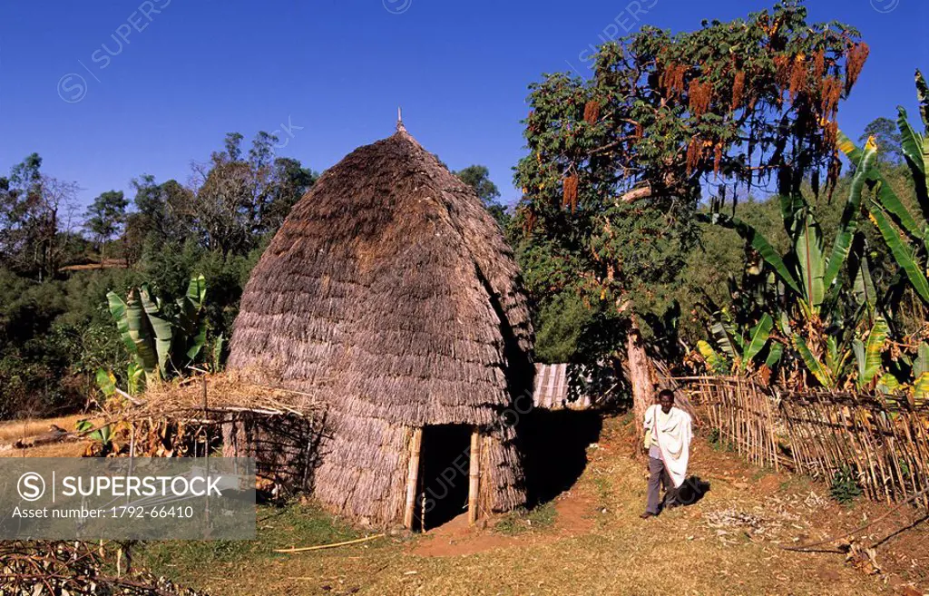 Ethiopia, Rift valley, Dorze village, typical hut