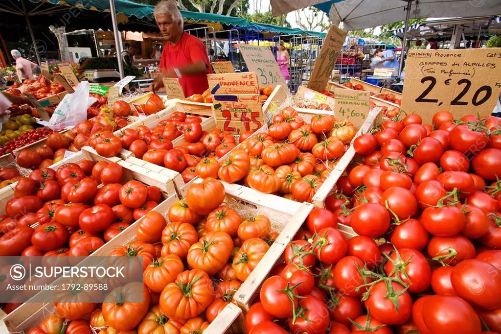 France, Gard, Villeneuve les Avignon, the market, grape tomatoes