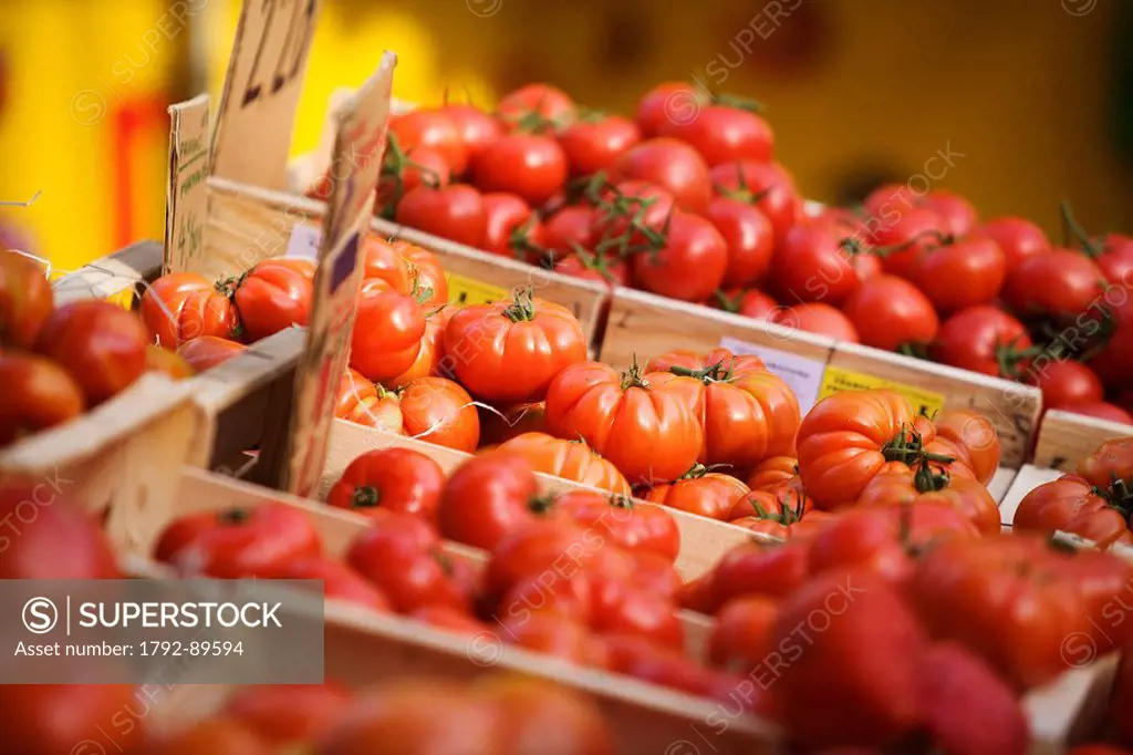 France, Gard, Villeneuve les Avignon, the market, grape tomatoes