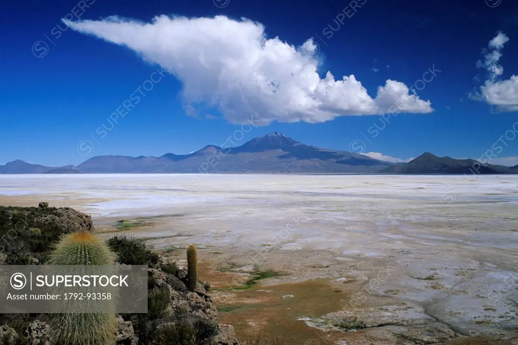 Bolivia, Potosi department, Daniel Campos province, Salar de Uyuni, bird shaped cloud above Tunupa volcano