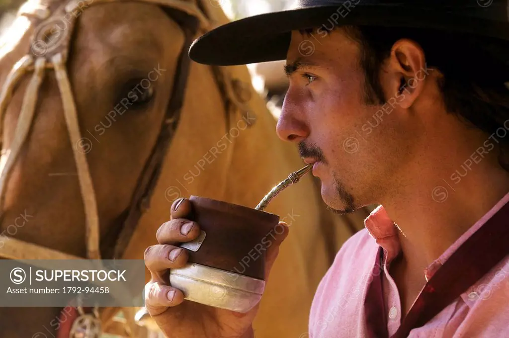 Argentina, Buenos Aires Province, Estancia San Isidro del Llano, gaucho drinking Mate beverage local herbal tea