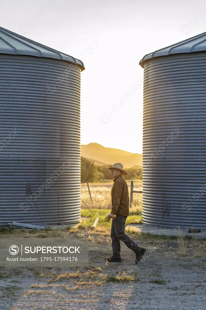 USA, Idaho, Bellevue, Rancher walking past silos