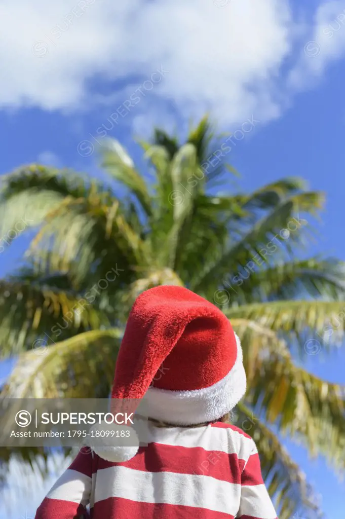 United States, Florida, Boca Raton, Rear view of boy (6-7) wearing Santa hat and striped sweater looking at palm tree