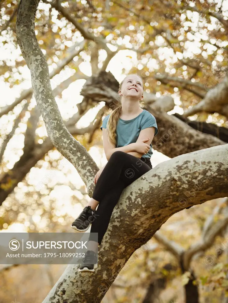 United States, California, Mission Viejo, Girl (12-13) sitting on tree branch