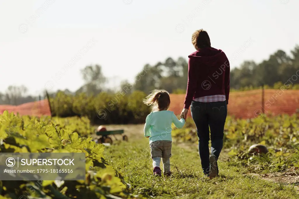 Mother and daughter holding hands in pumpkin field