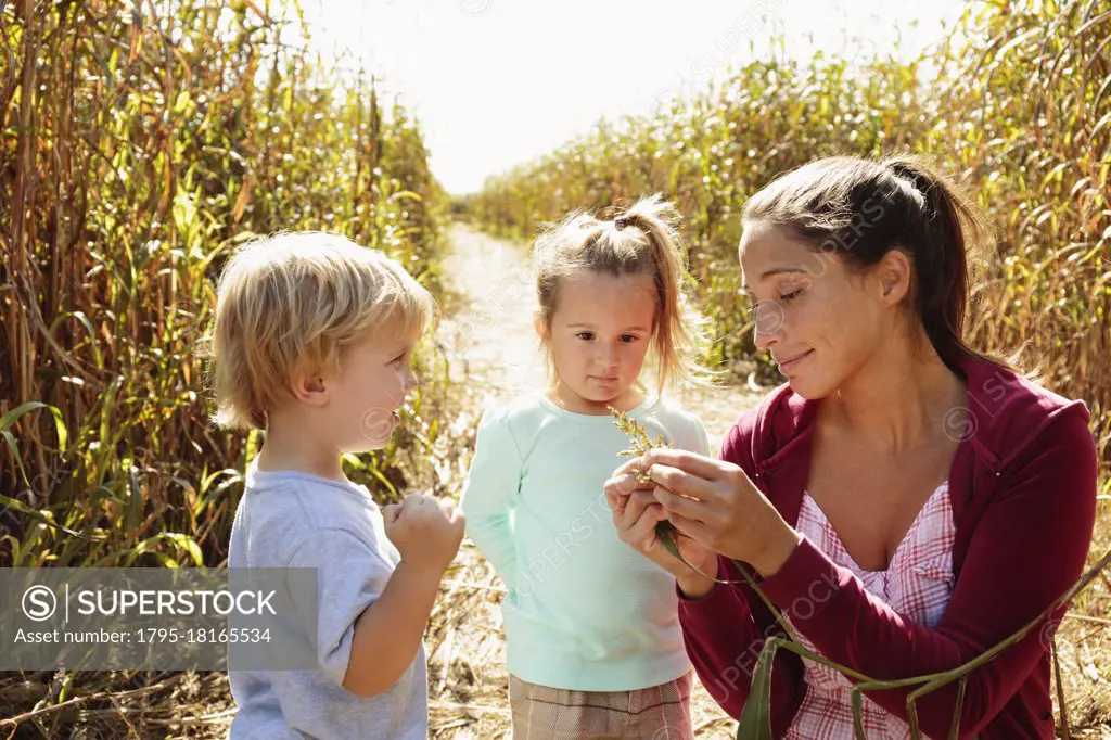 Mother with two children in field with crops