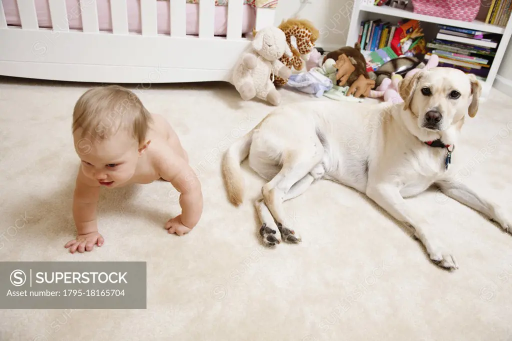 Baby girl, crawling, pet dog beside her