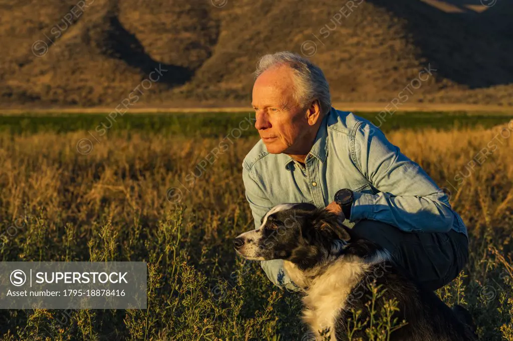 USA, Idaho, Bellevue, Senior man with border collie in field at sunset