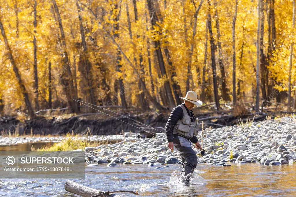 USA, Idaho, Bellevue, Senior fisherman wading in Big Wood River in Autumn