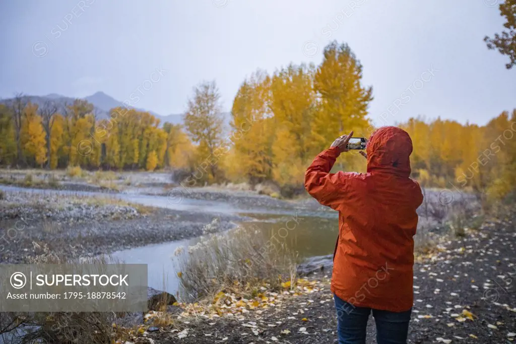 USA, Idaho, Bellevue, Rear view of woman photographing Big Wood River and yellow Autumn trees with smart phone