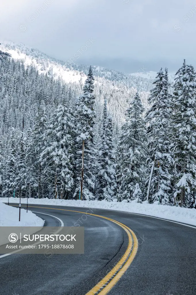 USA, Idaho, Ketchum, Road through winter forest