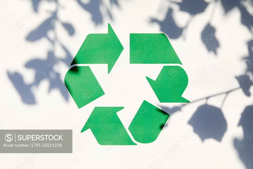 Green recycling symbol on white wall with leaves shadow