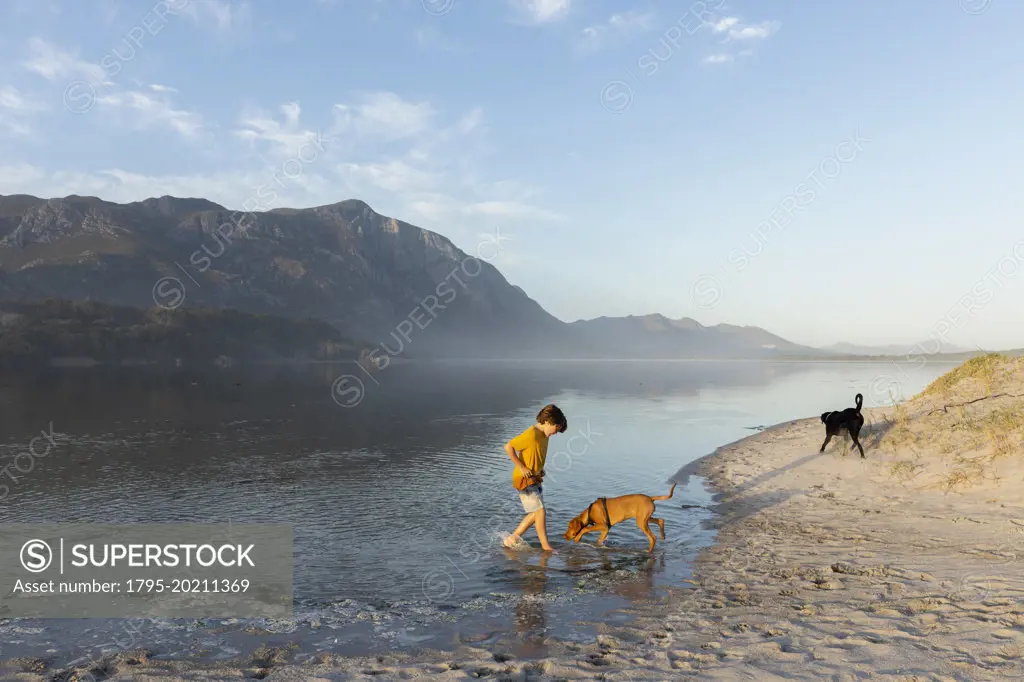 South Africa, Hermanus, Boy (8-9) with dogs exploring Grotto Beach