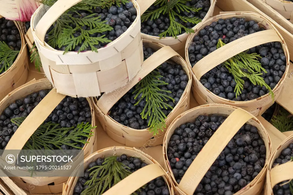 Baskets with blueberries at farmers market