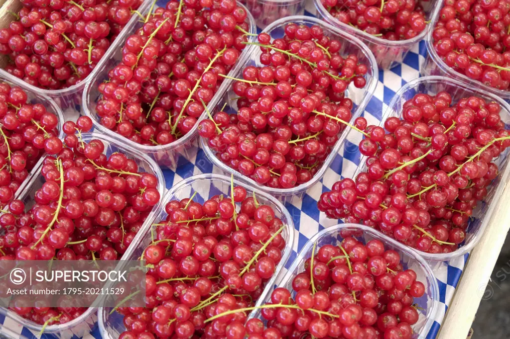 Red currants at farmers market