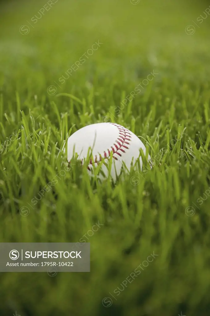 Baseball laying on grass