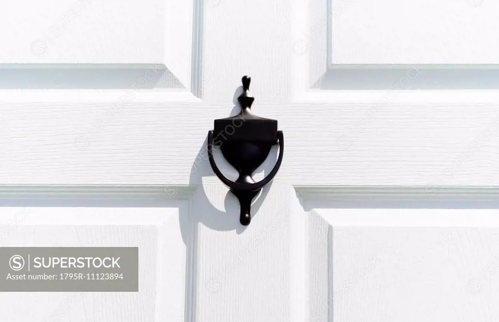 View of door knocker
