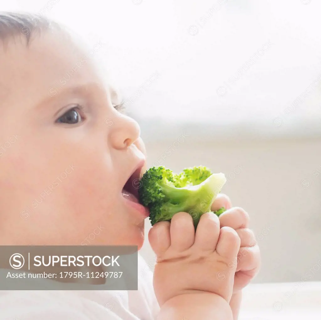 Baby girl (12-17 months) eating broccoli