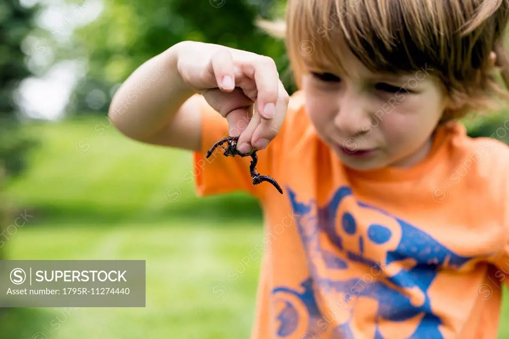 Boy (4-5) looking at worm in summer landscape