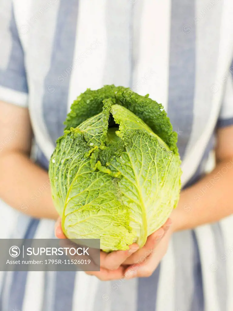 Studio shot of woman holding fresh cabbage