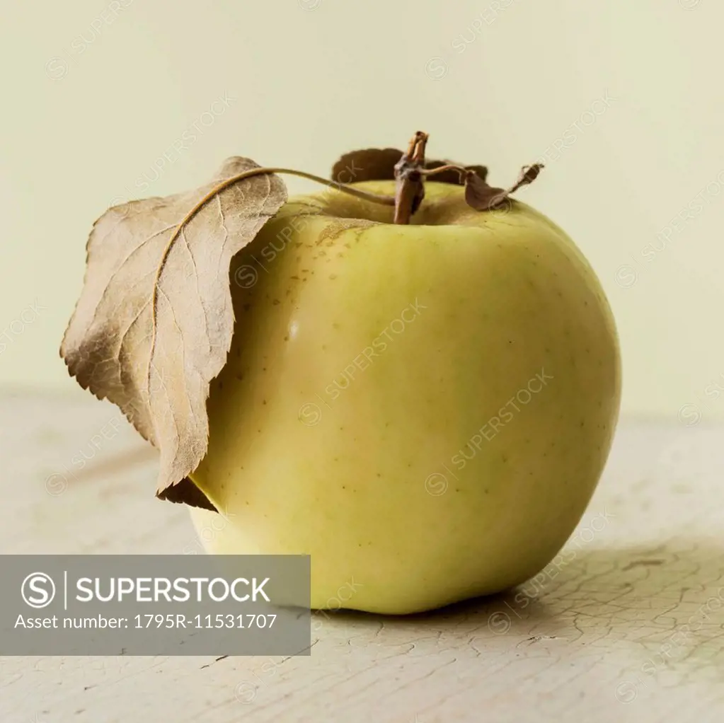 Studio shot of green apple