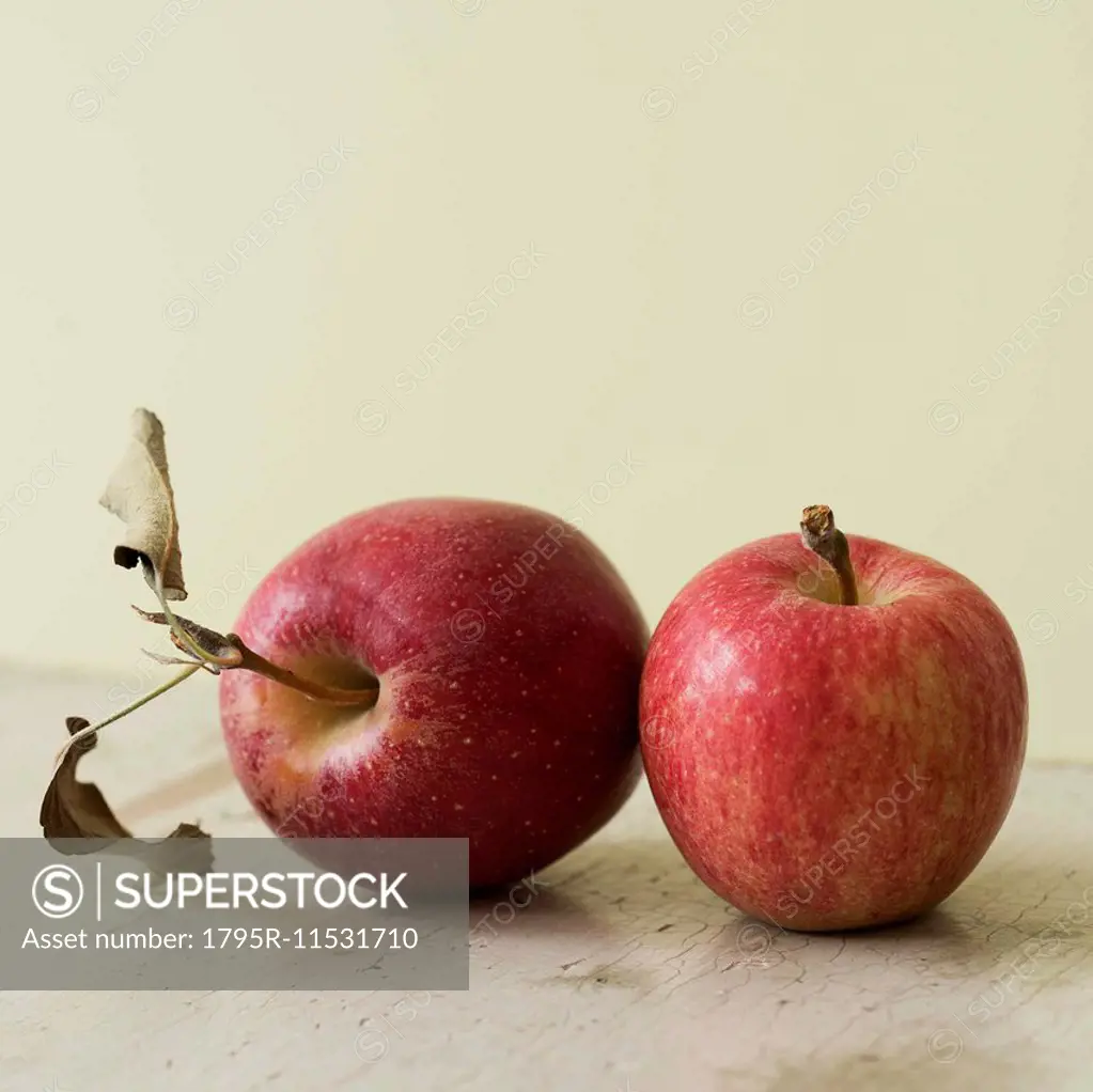 Studio shot of red apples