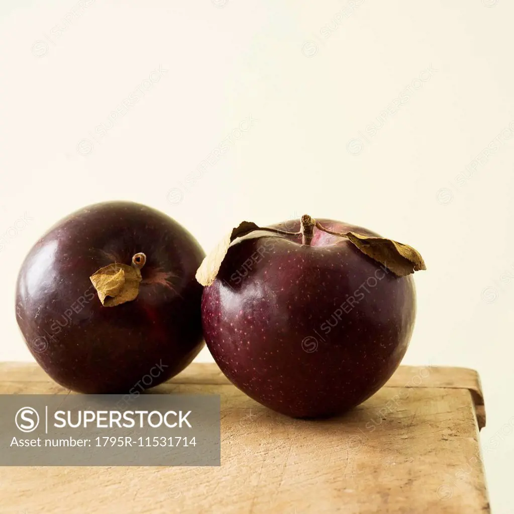 Studio shot of purple apples
